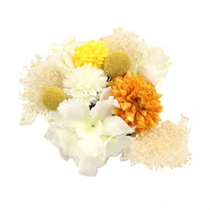  l  a vU[uht[ 11_Zbg Up EFfBO Ǝ    wAANZT[ wbhhX sN