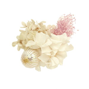  l  a { hCt[ 4_Zbg Up EFfBO Ǝ    wAANZT[ wbhhX ݑ bh ubN zCg