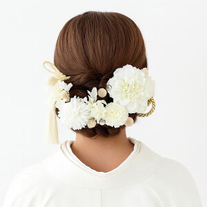  l  a _A } zCg 19_Zbg Up EFfBO Ǝ    wAANZT[ wbhhX gR