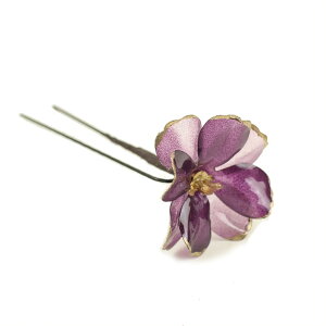  l  a p[c NAubT 1{ Up EFfBO Ǝ    wAANZT[ wbhhX sN