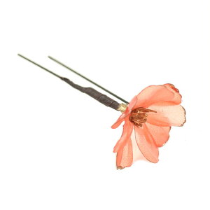  l  a p[c NAubT 1{ Up EFfBO Ǝ    wAANZT[ wbhhX sN