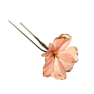  l  a p[c NAubT 1{ Up EFfBO Ǝ    wAANZT[ wbhhX sN