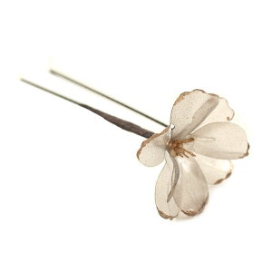  l  a p[c NAubT 1{ Up EFfBO Ǝ    wAANZT[ wbhhX sN