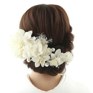  l  a _Ap[13_Zbg zCg Up EFfBO Ǝ    wAANZT[ wbhhX ݑ