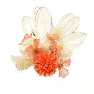  l  a }@ NAt[ 14_Zbg Up EFfBO Ǝ    wAANZT[ wbhhX  bh IW