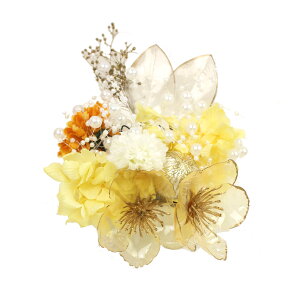  l  a hCt[12_Zbg Up EFfBO Ǝ    wAANZT[ wbhhX zCg