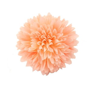  l   a s|} L Nbv Up EFfBO q   wAANZT[ wbhhX O  sN IW zCg x[W