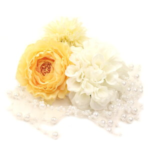  l  a  4_Zbg Nbv Up EFfBO Ǝ    wAANZT[ wbhhX ̓ Mtg J[l[V bh sN zCg