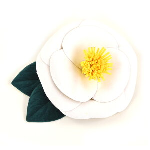  l  a  RT[W / Up EFfBO Ǝ    wAANZT[ wbhhX  