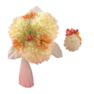  l  a }ɃRT[W Up EFfBO   wAANZT[ wbhhX  sN