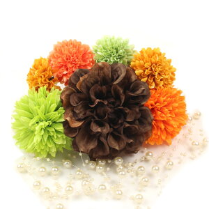  l  a _A } 8_Zbg Nbv Up EFfBO Ǝ    wAANZT[ wbhhX bh sN zCg x[W