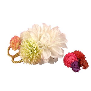  l  a _AɃ} Up EFfBO   wAANZT[ wbhhX sN