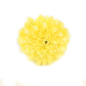  l   a s|} M Us Up EFfBO q   wAANZT[ wbhhX bh sN IW zCg