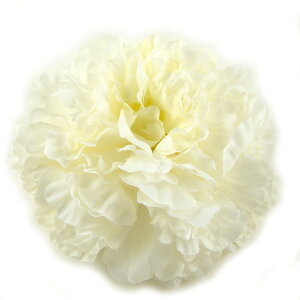  l   a tiLX Nbv Up EFfBO   wAANZT[ wbhhX bh sN zCg