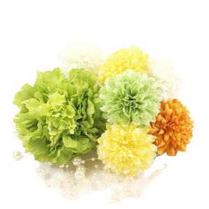  l  a ti} 8_Zbg Nbv Up EFfBO Ǝ    wAANZT[ wbhhX bh sN