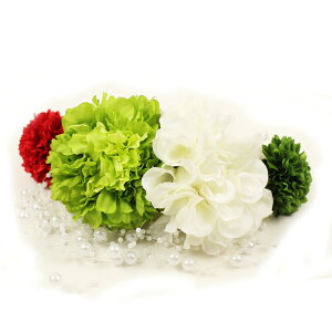  l  a ti 5_Zbg Nbv Up EFfBO Ǝ    wAANZT[ wbhhX bh sN