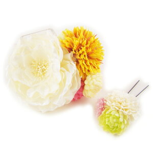  l  a iLX }RT[W Up EFfBO   wAANZT[ wbhhX sN