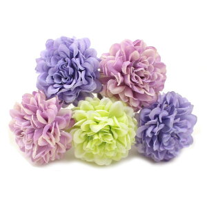  l   a s|} S 5_Zbg Us Up EFfBO q   wAANZT[ wbhhX