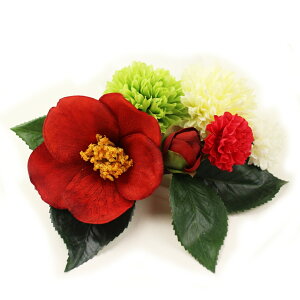  l  a  } 6_Zbg Up EFfBO Ǝ    wAANZT[ wbhhX  