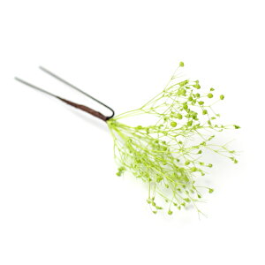  l   a ݑ vU[uht[ hCt[ 1{ Up EFfBO   wAANZT[ wbhhX bh sN  zCg S[h V