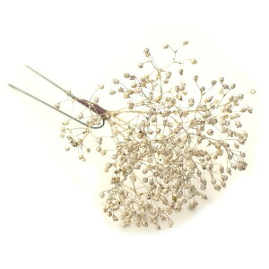  l   a ݑ vU[uht[ hCt[ 1{ Up EFfBO   wAANZT[ wbhhX bh sN  zCg S[h V