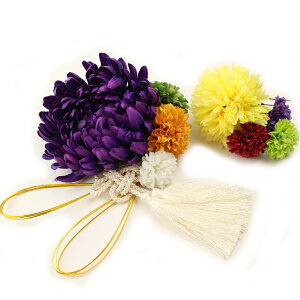  l  a a 9_Zbg Up EFfBO Ǝ    wAANZT[ wbhhX 