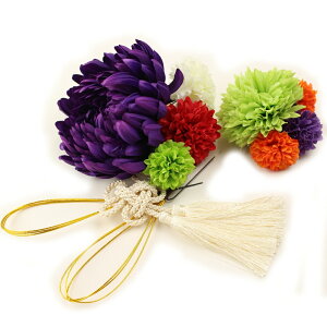  l  a a 9_Zbg Up EFfBO Ǝ    wAANZT[ wbhhX 