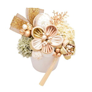  l  a Arenca ܂ݍ׍H S[hEO[X Up EFfBO   wAANZT[ wbhhX bh ubN S[h