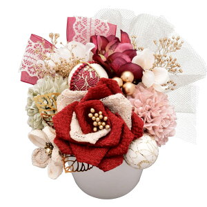  l  a Arenca ܂ݍ׍H Vbg Up EFfBO   wAANZT[ wbhhX ݑ bh x[W