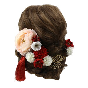  l  a ܂ݍ׍H i 13_Zbg Up EFfBO   wAANZT[ wbhhX sN