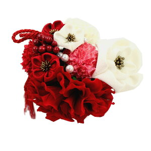  l  a _A ܂ݍ׍H 15_Zbg Up EFfBO   wAANZT[ wbhhX bh sN zCg