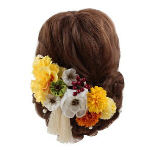  l  a _A ܂ݍ׍H 15_Zbg Up EFfBO   wAANZT[ wbhhX bh sN zCg