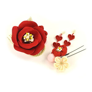  l  a [Yɂ܂ݍ׍H Up EFfBO   wAANZT[ wbhhX IW