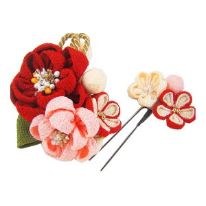  l  a d˔~܂ݍ׍H Up EFfBO   wAANZT[ wbhhX  IW 