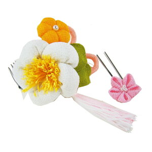  l  a P~ɋj[̉Ԃ܂ݍ׍H Up EFfBO   wAANZT[ wbhhX  sN 