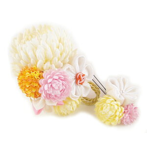  l  a eɔ~̉Ԃ܂ݍ׍H Up EFfBO   wAANZT[ wbhhX