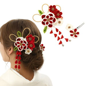  l  a ~̉Ԃ܂ݍ׍H@ԁ@@@2_Zbg Up EFfBO   wAANZT[ wbhhX 匴X