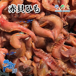 �ԊL�Ђ� 500g �q�� �R �A�J�K�C �������� ��J�� �r�^�~��A ���S��p �ԊL�̂Ђ��ώ� �a����