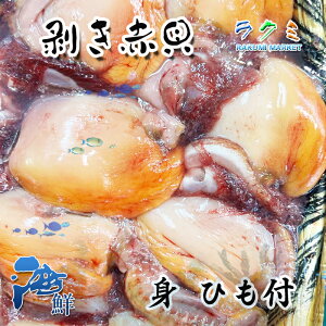 ���ԊL �ނ��g ��T�C�Y 10�� �Ђ��t �������������g �ϕt�� �u�� �|�̕� �T���_