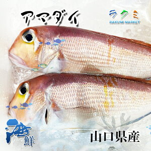 A}_C RY 5kg(1 400~500g )   ϕt  g ϔ