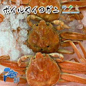 {CZCRKj X kCY 󂠂 10i1 100`130gj  蕨 @ׂȐg IX X` 