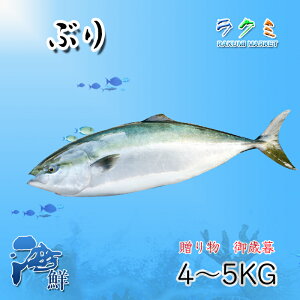 u 1 4`5kg Ԃ  { hg Ђ Jpb` Zr[`F Ԃ卪 ƂĂ ݂Ђ Ă Ε j 蕨