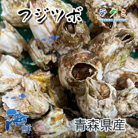 稀少 天然 フジツボ貝 1kg 青森県の特産品 蒸し煮 直焼き