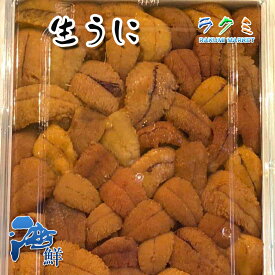 【海の幸】生ウニ 2p（1p約 220～250g） うに 北海道 ウニチャーハン 寿司
