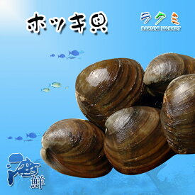 国産 活 ホッキ貝 北海道産 1kg(1個300〜400g） 北寄貝 ほっき貝 ター焼き 和え物 フライ カレー