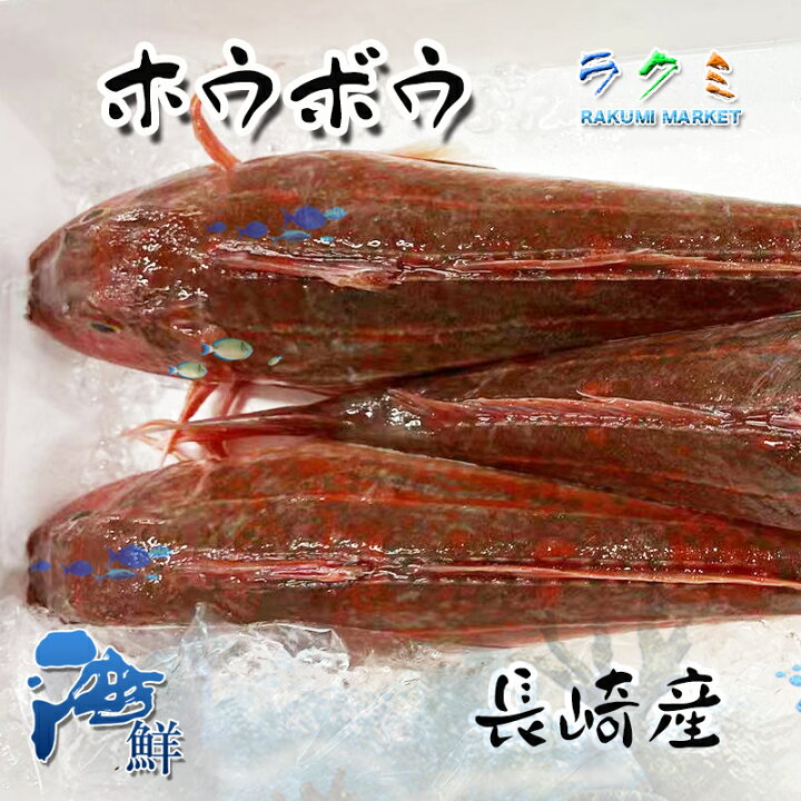 楽天市場 方々魚 ホウボウ 1kg 1尾約0 300g 長崎産 高級食材 刺身 焼き切り 唐揚げ 肝なども美味 ラクミマーケット 楽天市場 方々魚 ホウボウ 1kg 1尾約0 300g 長崎産 高級食材 刺身 焼き切り 唐揚げ 肝なども美味 ラクミマーケット