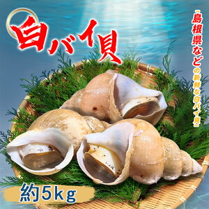 Ɩp  oCL 5kg kt Y L o^[Ă ϕt  hg ΂L