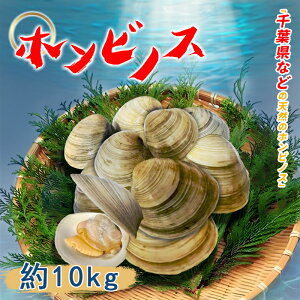 Ɩp zrmX 10kg قт̂ L Y L ł 蕨 j o[xL[ ݂` ܂` t