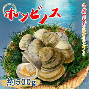 zrmX 500g قт̂ L Y L ł 蕨 j o[xL[ ݂` ܂` t