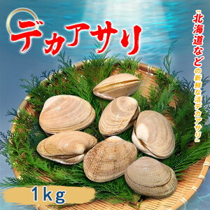 fJAT 傫 1kg kt  Y L ϕt  ݂` uߕ pX^
